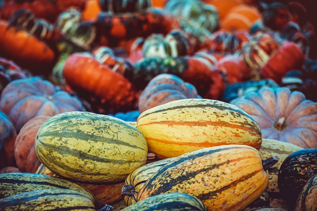 pumpkin-3759587_1920