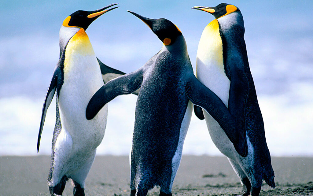 OpenStation Blog: Drag, Drop, Preview: How a Post Gets Written in OpenStation